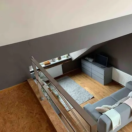 Wunderschoene Loft-stadtwohnung