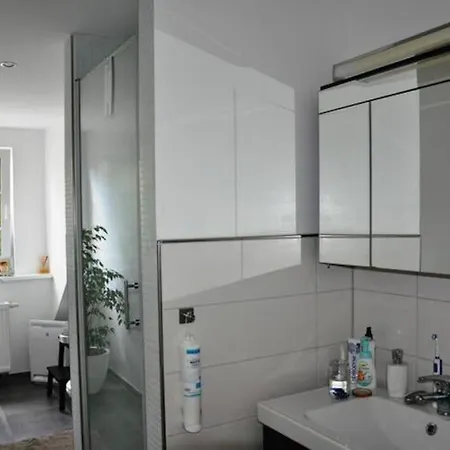 Wunderschoene Loft-stadtwohnung Βίρτσμπουργκ