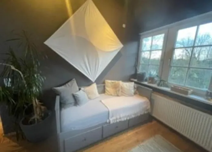 Wunderschoene Loft-stadtwohnung וירצבורג